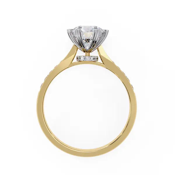 Round Prime Cathedral Engagement Ring