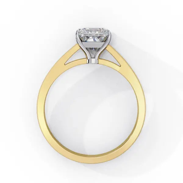Princess Solitaire Cathedral Engagement Ring