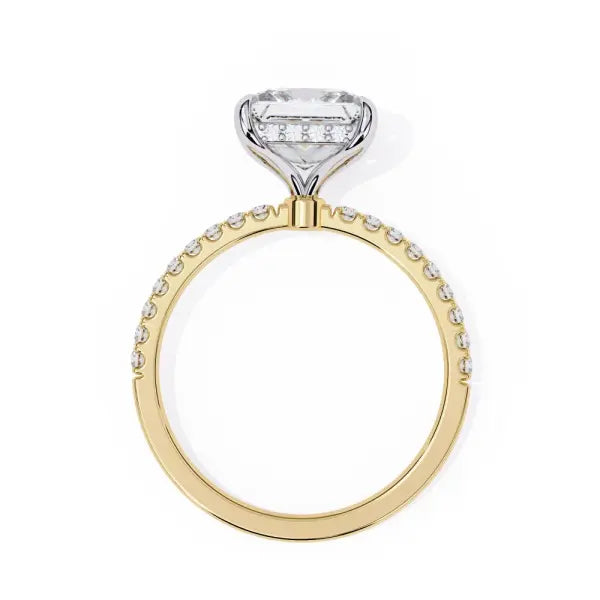 Princess Hidden Halo & Pave Engagement Ring