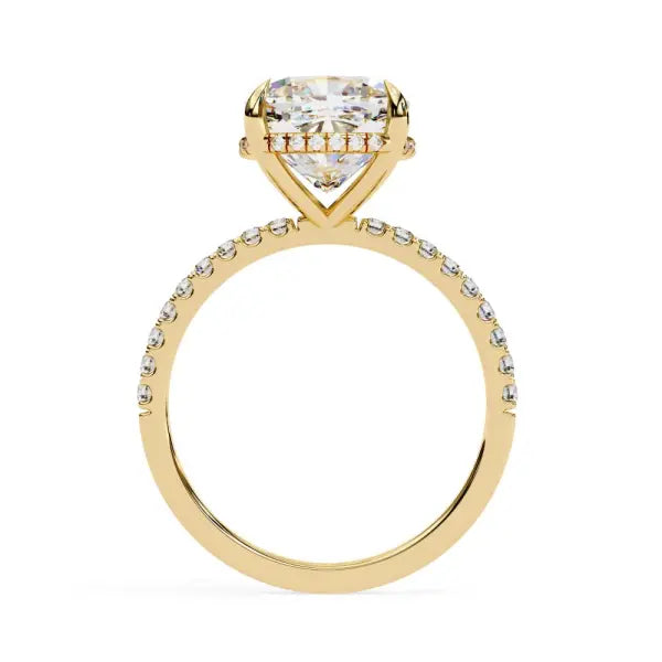 Cushion Hidden Halo with Pave Engagement ring